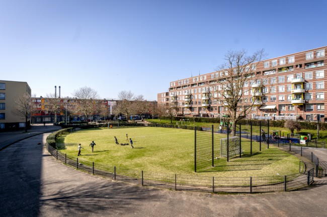 Itemnummer 81003