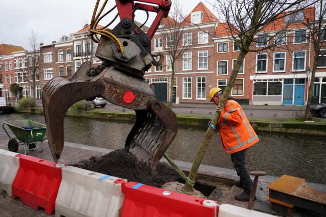 Itemnummer 46533