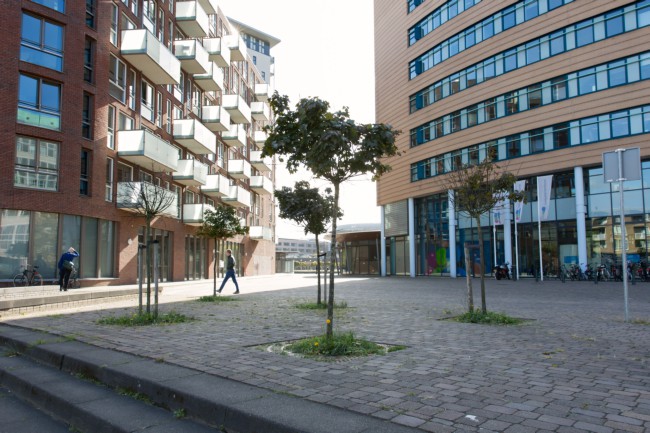 Itemnummer 38780
