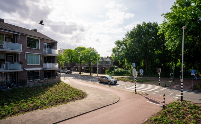 Itemnummer 87623