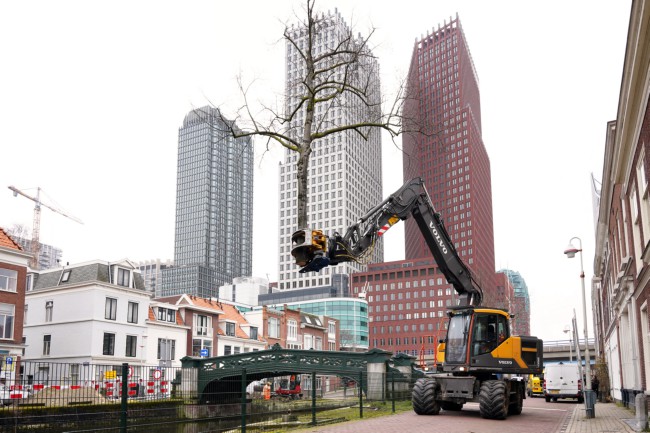 Itemnummer 59616