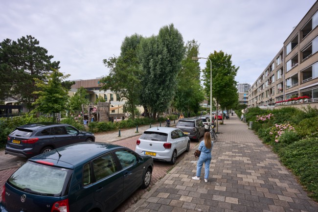 Itemnummer 90049