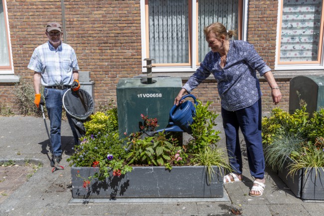 Itemnummer 53976