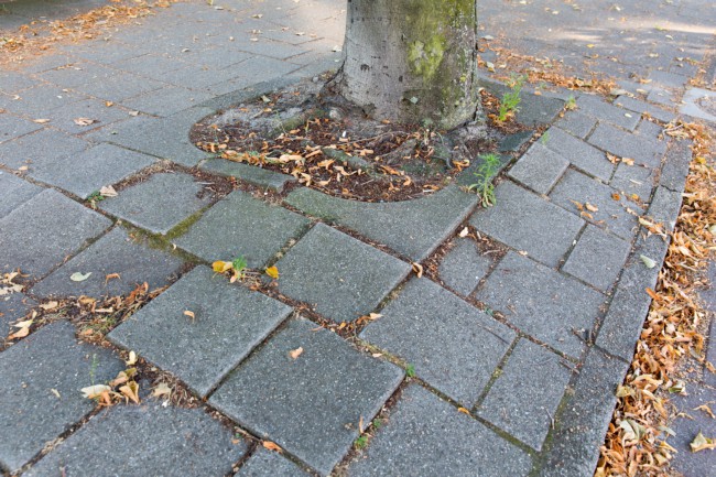 Itemnummer 44990