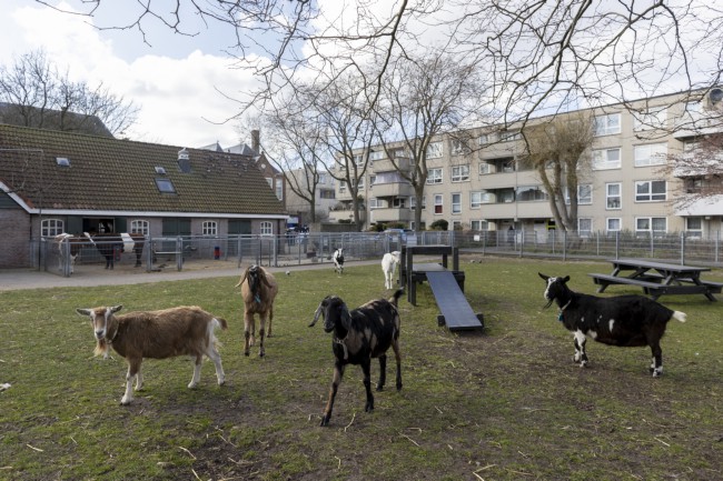 Itemnummer 81635