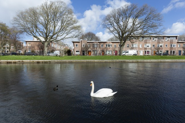 Itemnummer 40916