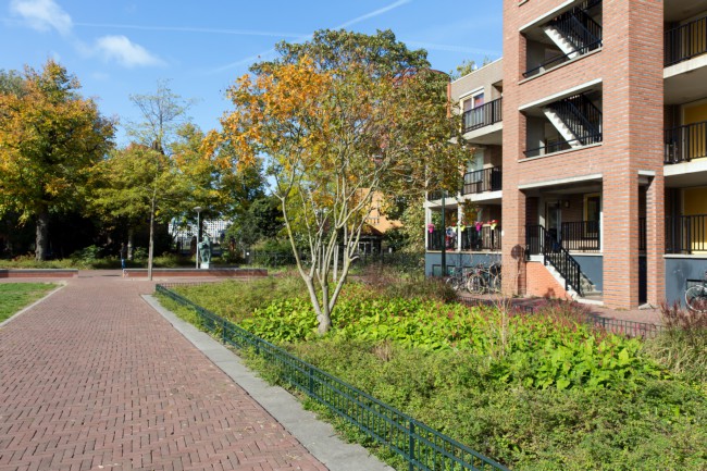Itemnummer 38808