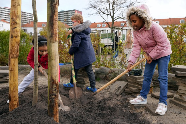 Itemnummer 47905