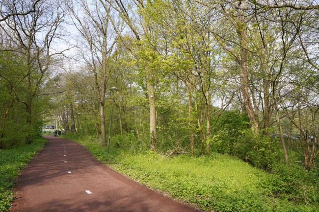 Itemnummer 60009
