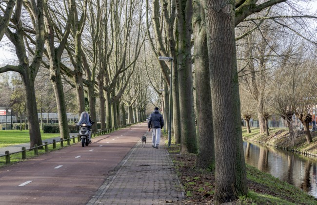 Itemnummer 50485