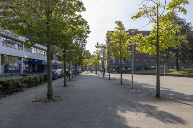 Itemnummer 64125