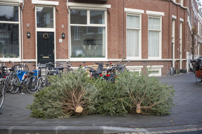 Itemnummer 41891