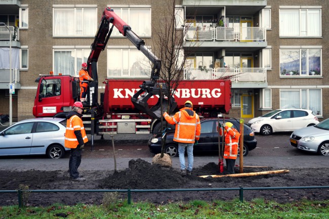 Itemnummer 58772
