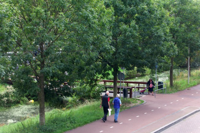 Itemnummer 45064