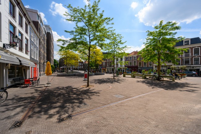 Itemnummer 43013