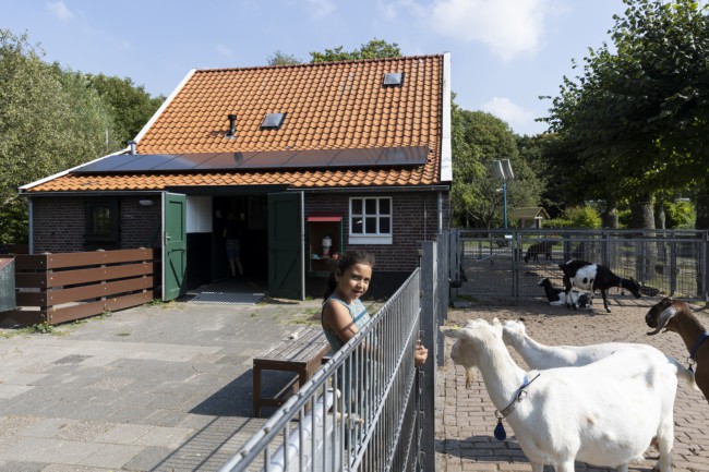 Itemnummer 55451