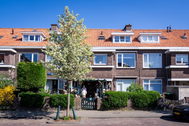 Itemnummer 84619