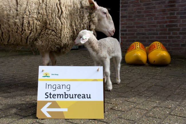 Itemnummer 70004