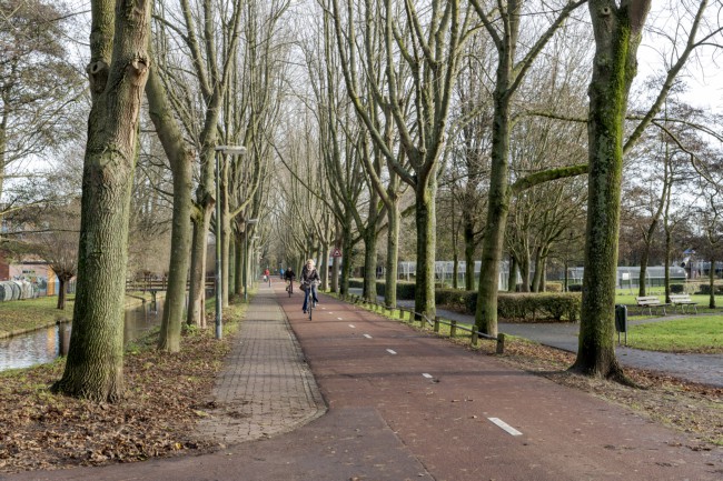 Itemnummer 50492