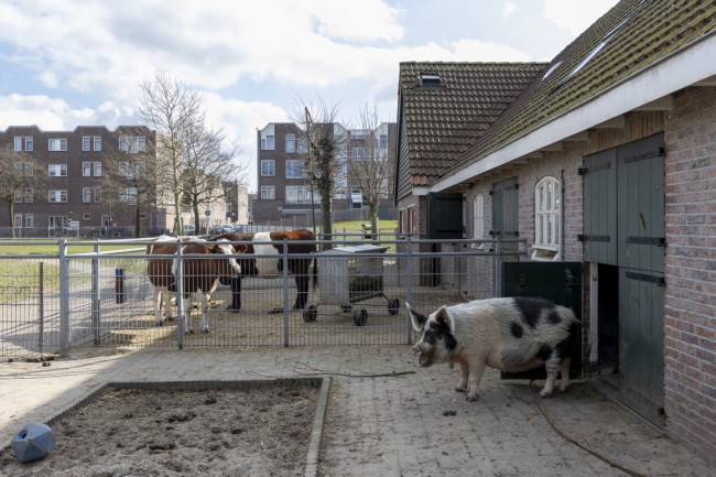 Itemnummer 81627