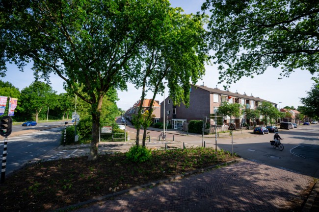 Itemnummer 87616