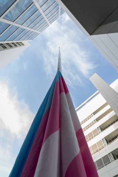 Itemnummer 51131
