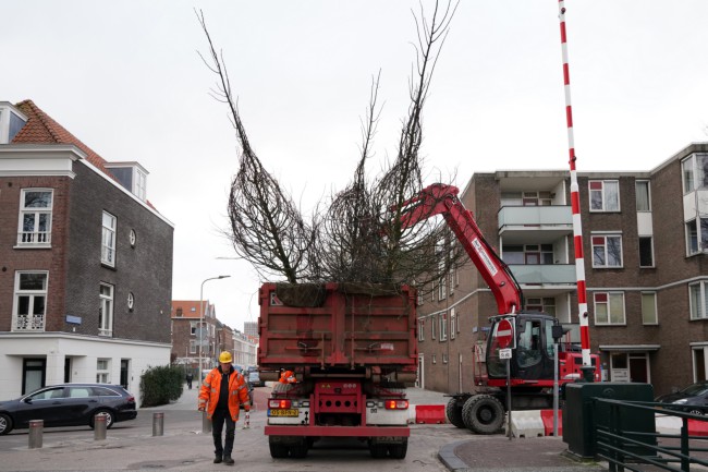 Itemnummer 46536