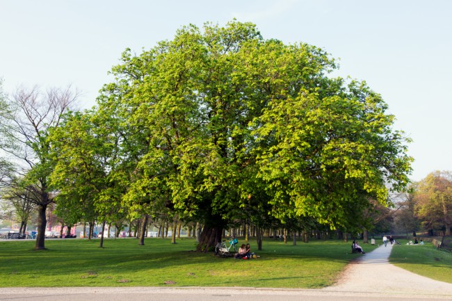 Itemnummer 40248