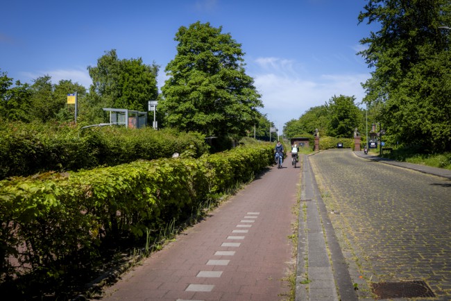 Itemnummer 86372