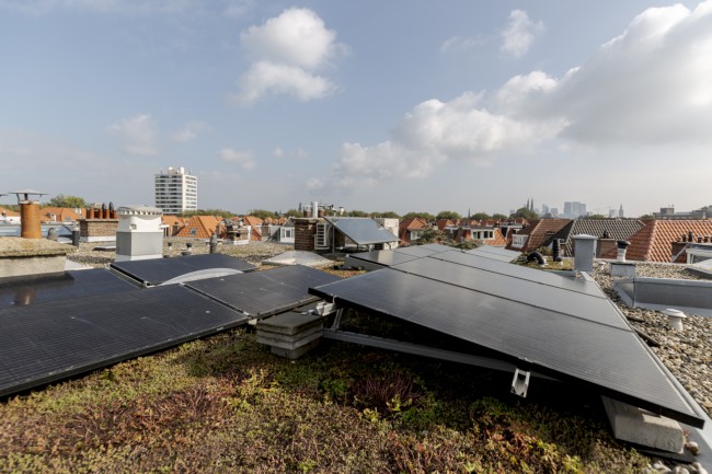 Itemnummer 50529