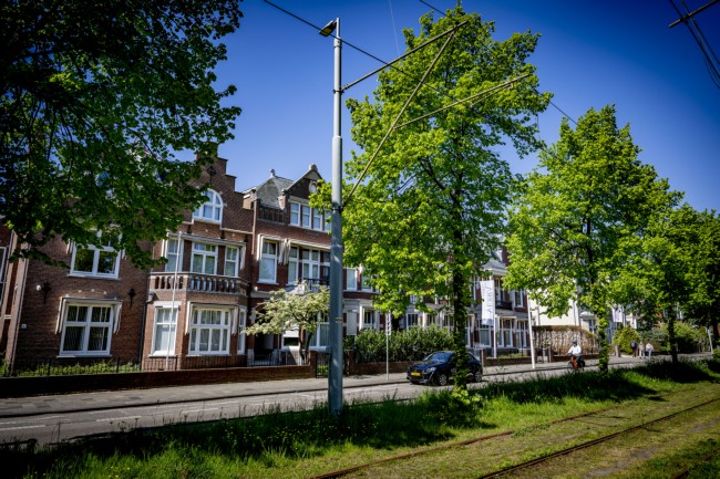 Itemnummer 85881