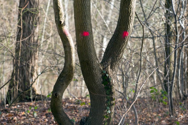 Itemnummer 56518