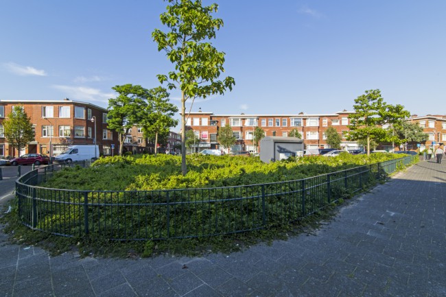 Itemnummer 44510
