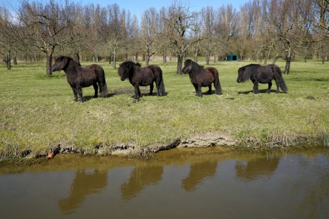 Itemnummer 59822