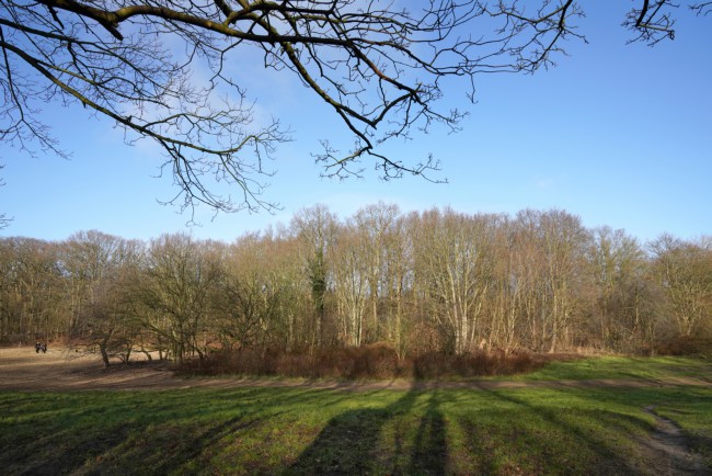 Itemnummer 58962