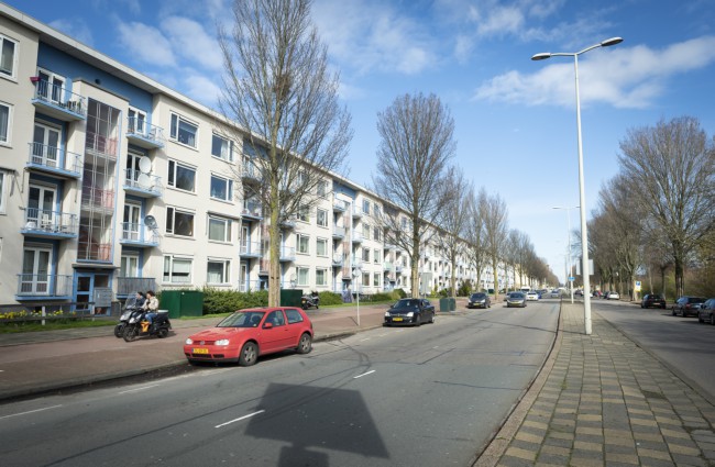Itemnummer 40556