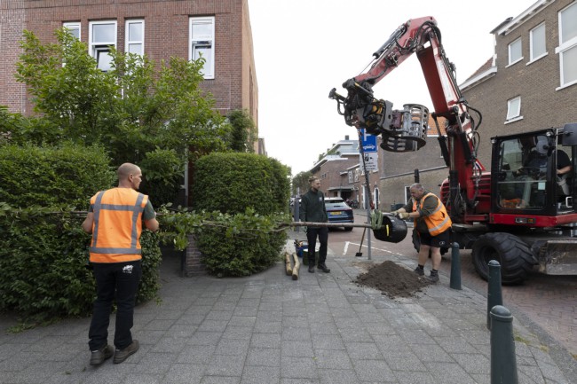 Itemnummer 75628