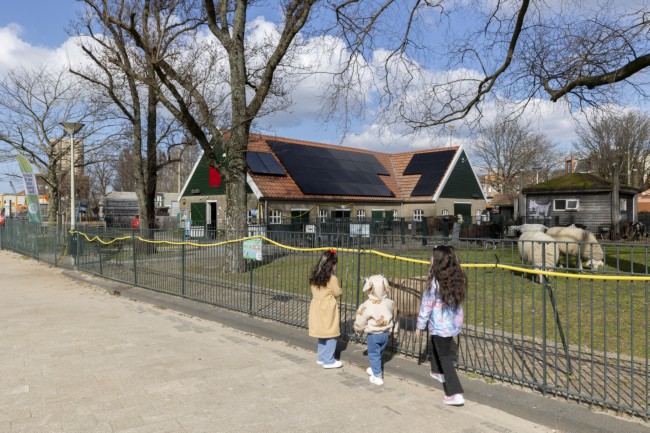 Itemnummer 81601