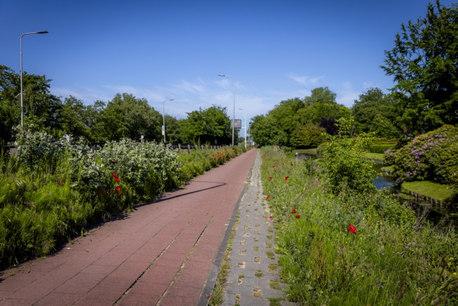 Itemnummer 86363