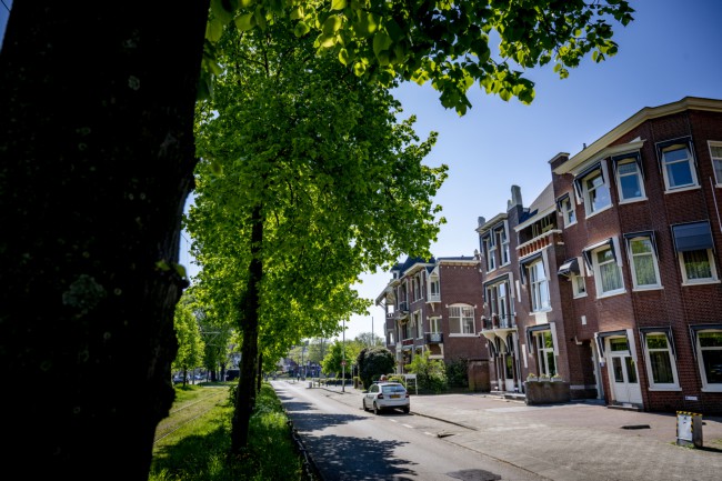 Itemnummer 85884