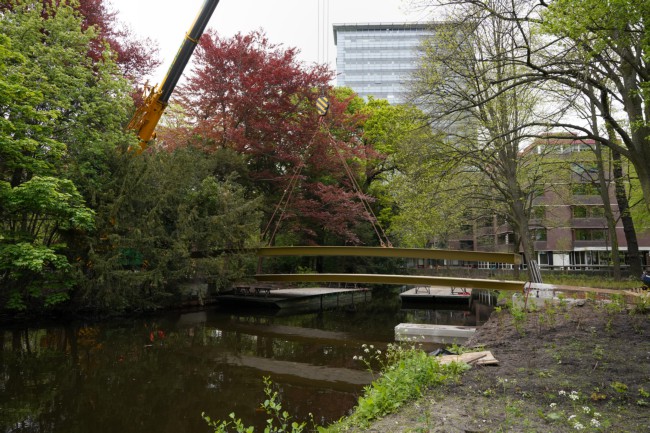 Itemnummer 46851