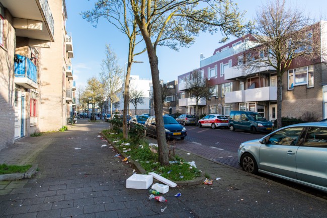 Itemnummer 41593