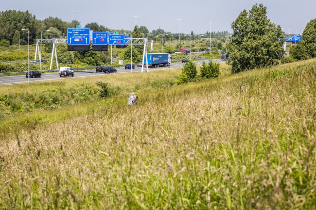 Itemnummer 40275