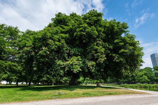 Itemnummer 70829