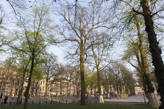 Itemnummer 40250