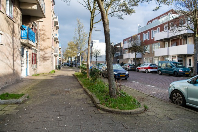 Itemnummer 41603