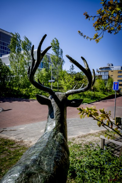 Itemnummer 85863