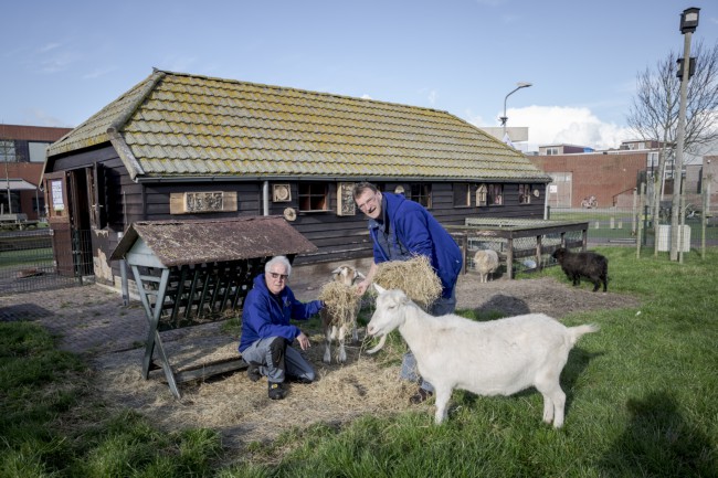 Itemnummer 50309