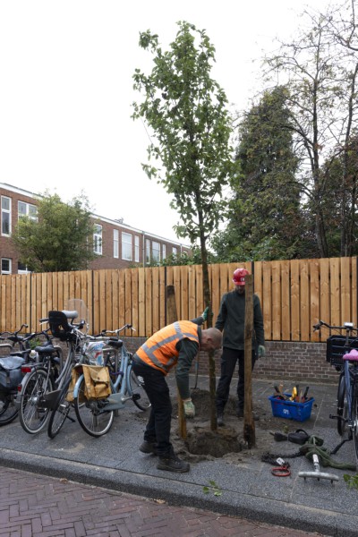 Itemnummer 75640
