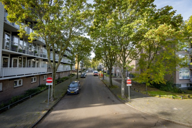 Itemnummer 77450